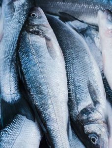 Biban de mare australian crescut sustenabil – gust bun, cu grijă pentru planetă, perfect pentru iubitorii de natură și sănătate