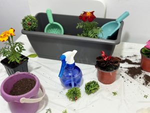 Programări la Asociația Psiho Special condusă de Karla Ana Maria Grigore și Marius Cătălin Grigore